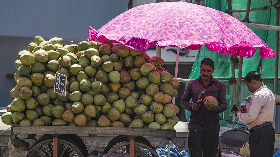 <div class="paragraphs"><p>Representative image.</p></div>