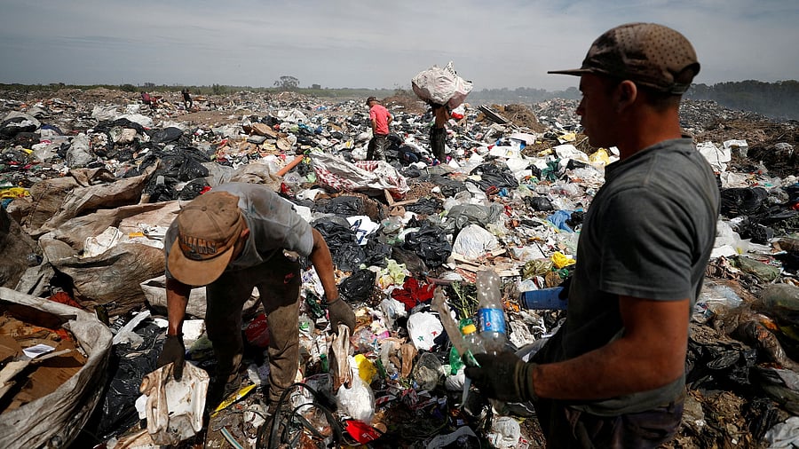 <div class="paragraphs"><p>Representative image.</p></div>