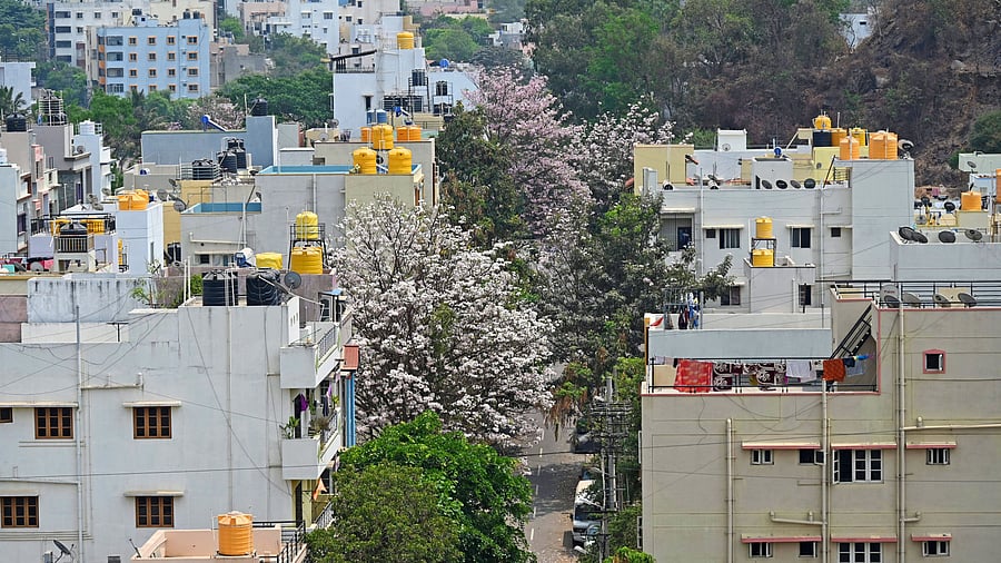 <div class="paragraphs"><p>Floor area ratio beyond the permissible limits will not be allowed along narrow roads. </p></div>