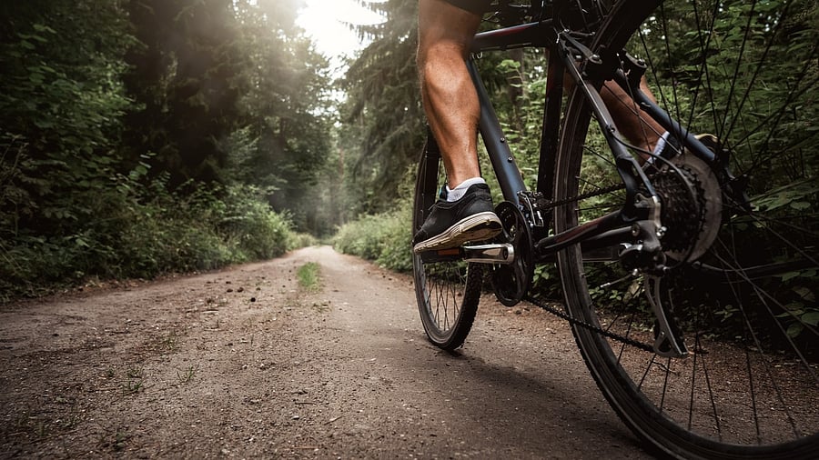 <div class="paragraphs"><p>Representative image showing a cyclist.</p></div>