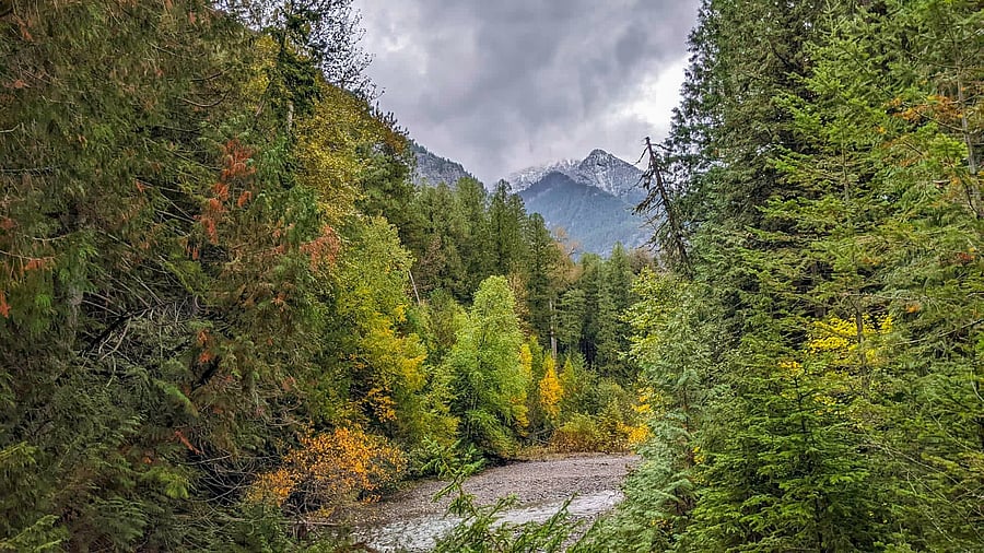 <div class="paragraphs"><p>Snow-capped mountains in GNP. </p></div>