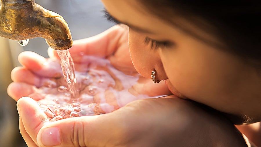 <div class="paragraphs"><p>Representative image </p></div>