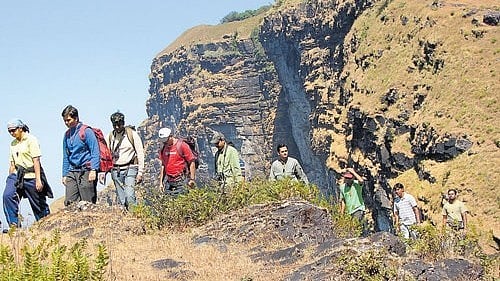 <div class="paragraphs"><p>Regular trekkers claim that such a nexus exists at a majority of the trekking spots in the state.</p></div>