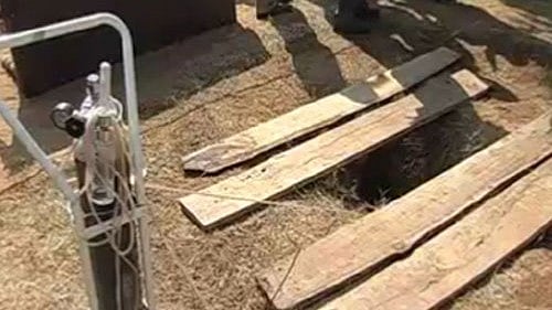 <div class="paragraphs"><p>Representative image.</p></div>