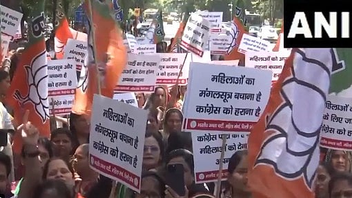 <div class="paragraphs"><p>Screengrab from Delhi BJP's protest.</p></div>