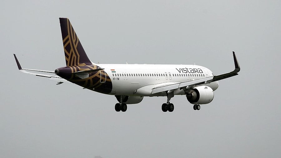 <div class="paragraphs"><p>Vistara flight.</p></div>