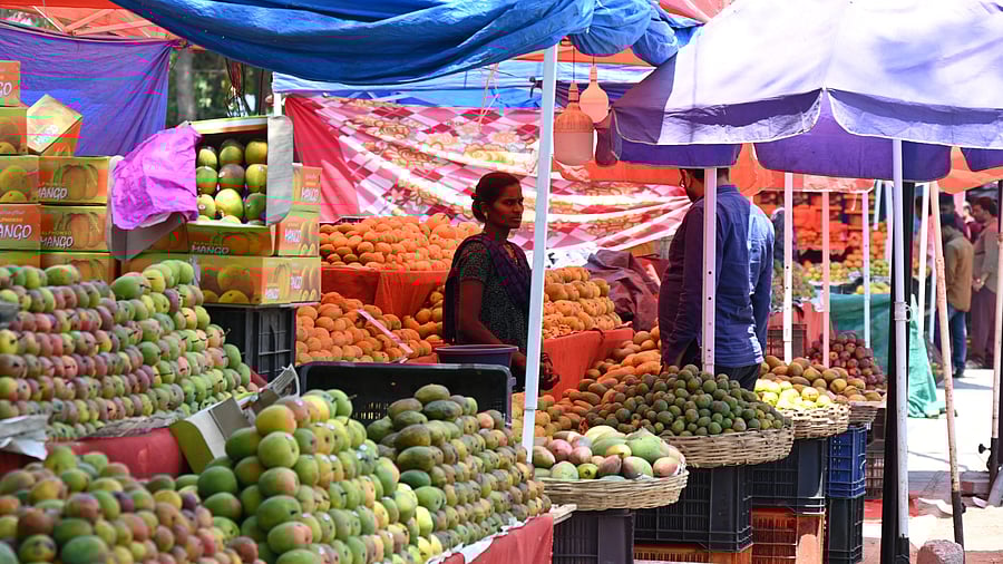 <div class="paragraphs"><p>Stalls selling mangoes on Jayamahal Road. </p></div>