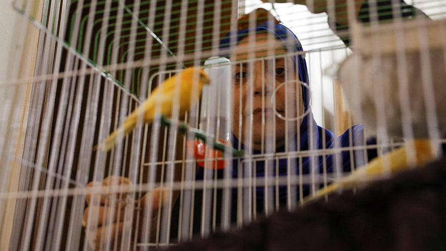 <div class="paragraphs"><p>As we neared Ooty, she cheerfully stepped out and opened the cage to allow the bird to fly away to its freedom.</p></div>