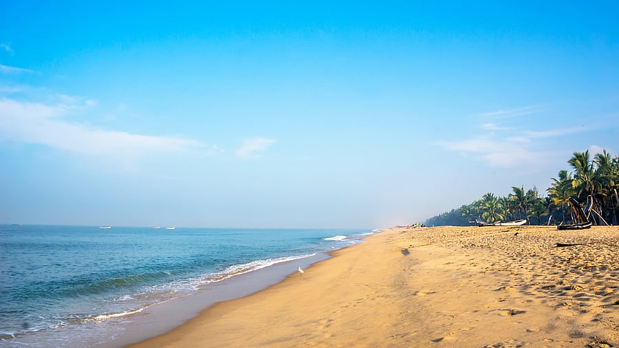 <div class="paragraphs"><p>View of a beach in Kerala.</p></div>