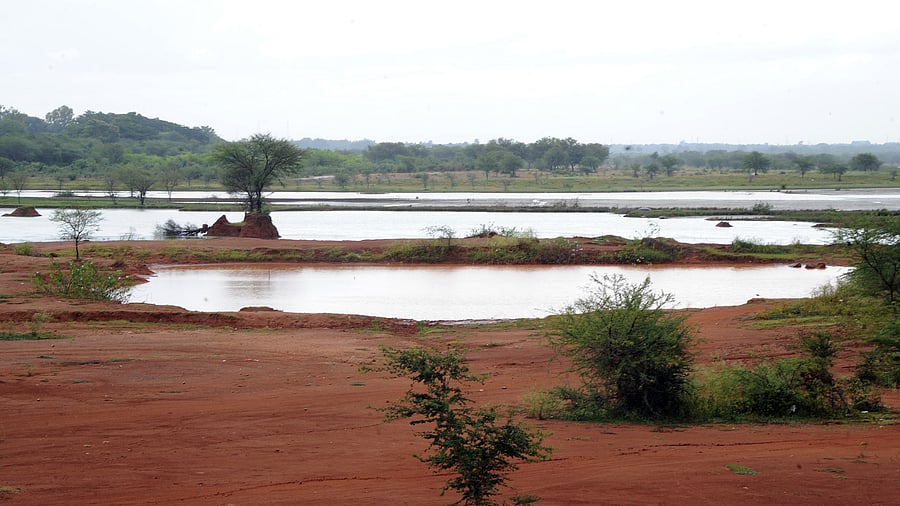 <div class="paragraphs"><p>A view of&nbsp;Hesaraghatta lake in Bengaluru. </p></div>