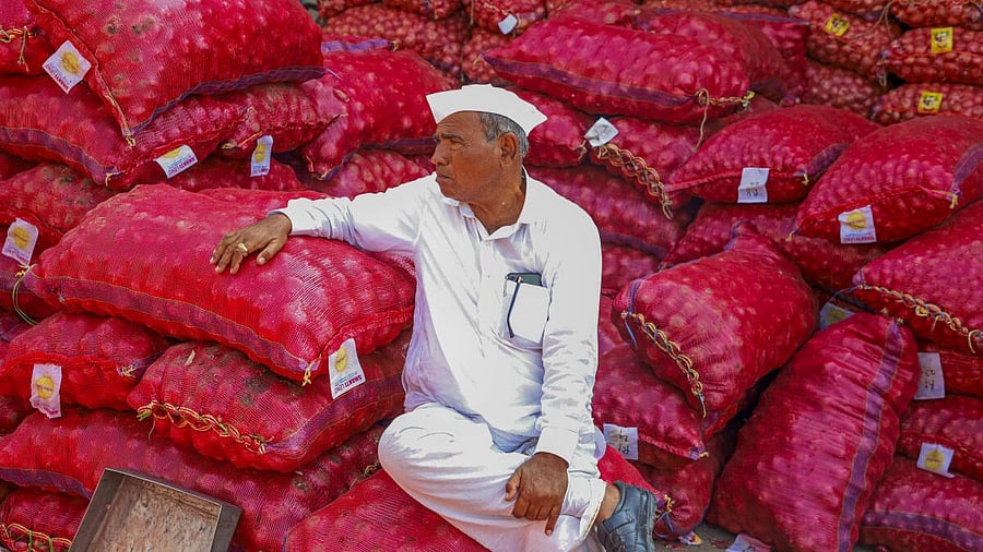 <div class="paragraphs"><p>On December 8, 2023, the government banned export of onions. (Representative image)</p></div>