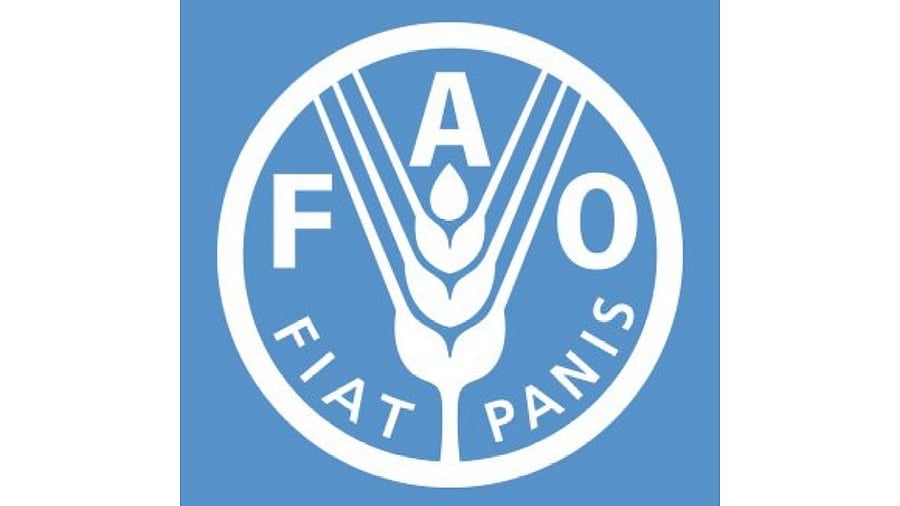 <div class="paragraphs"><p>Logo of UN's Food and Agriculture Organization.</p></div>