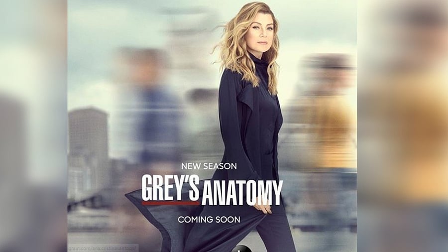 <div class="paragraphs"><p>A poster of Grey's Anatomy.</p></div>