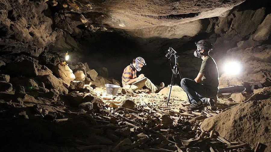 <div class="paragraphs"><p>Saudi Arabia’s Heritage Commission announced 7,000-year-old discoveries in Umm Jirsan lava tube cave in the Harrat Khaybar in Medina, that included animal fossils and human skulls that were unearthed by a team of archaeologists and paleontologists.</p></div>