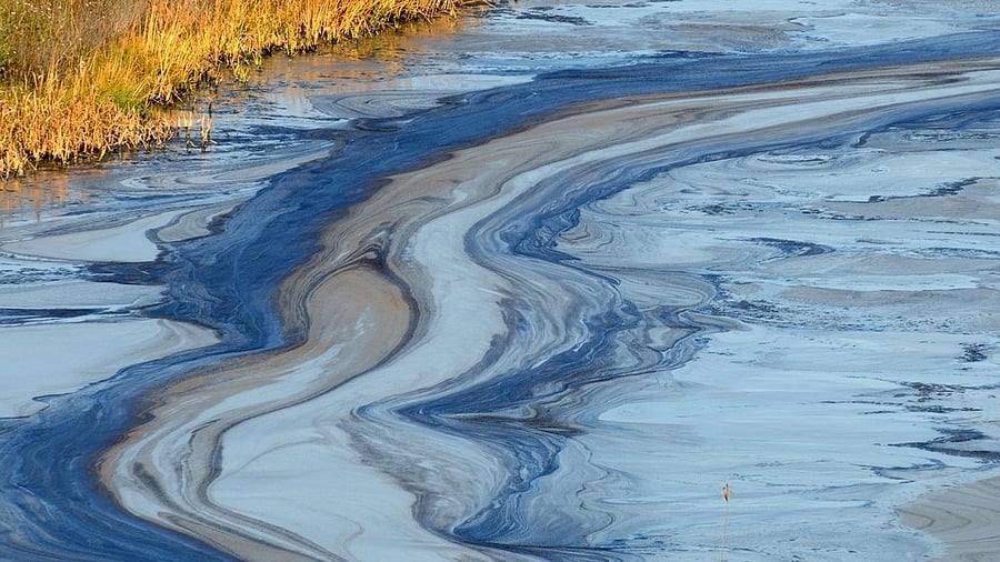 <div class="paragraphs"><p>Oil slick in water (Representative image)</p></div>