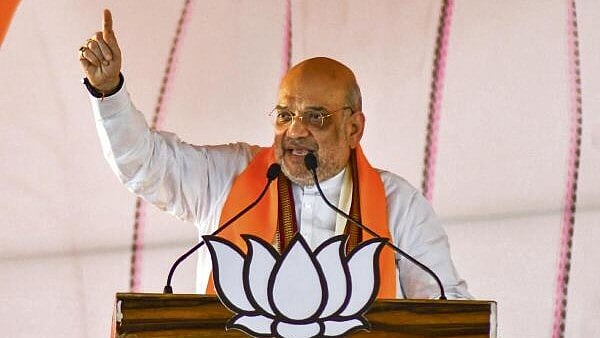 <div class="paragraphs"><p>Union Home Minister Amit Shah. </p></div>