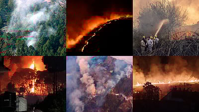 Explained | Uttarakhand forest fire: What ignites a forest fire and how ...