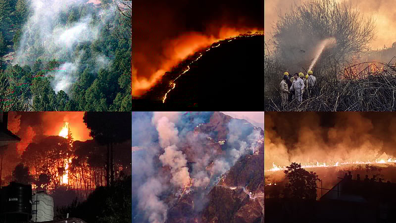 Explained | Uttarakhand forest fire: What ignites a forest fire and how ...