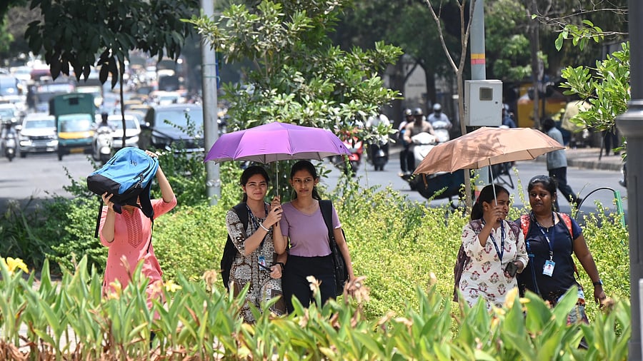 <div class="paragraphs"><p>Students shield themselves from the scorching sun by cleverly using umbrellas and their bag on JC road in Bengaluru on Thursday. </p></div>