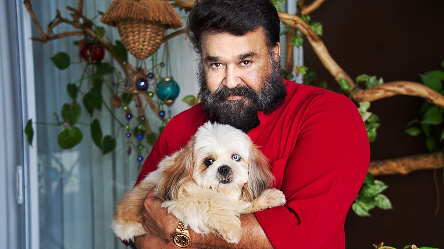 <div class="paragraphs"><p>Veteran actor&nbsp;Mohanlal Viswanathan&nbsp;</p></div>