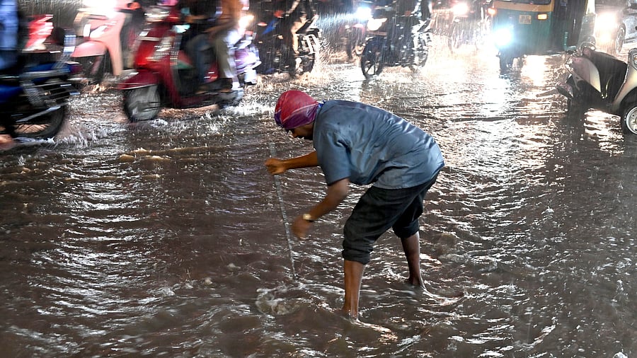 <div class="paragraphs"><p>Picture for representation</p></div>