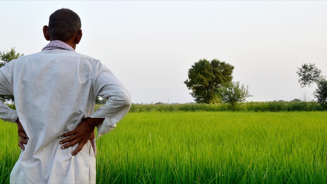 Retail Inflation for Farm & Rural Workers Edges Up in December 2023