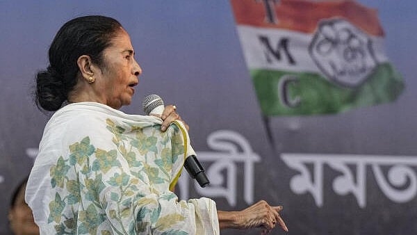 <div class="paragraphs"><p>West Bengal Chief Minister and TMC Supremo Mamata Banerjee addresses an election rally in West Bengal.&nbsp;</p></div>