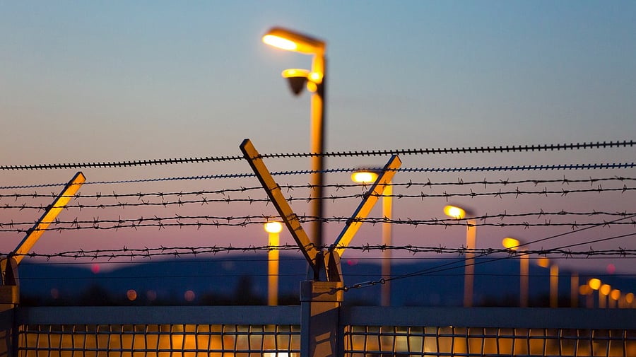 <div class="paragraphs"><p>Representative image showing the solar lights.</p></div>