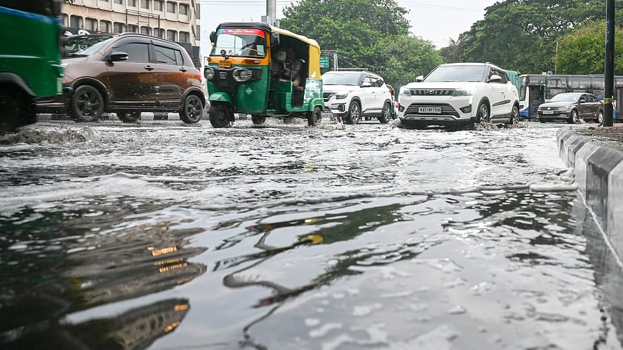 <div class="paragraphs"><p>Motorists navigate a waterlogged road after a heavy downpour in the city on Friday. </p></div>