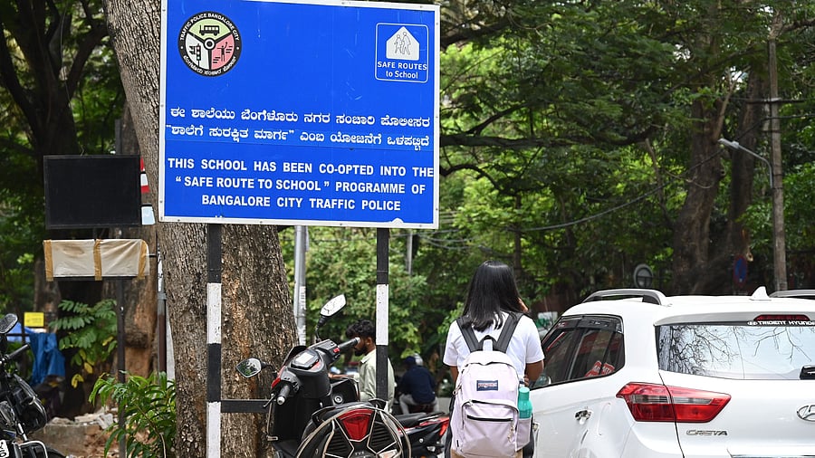 <div class="paragraphs"><p>A board of the SRTS project installed a few years ago. </p></div>