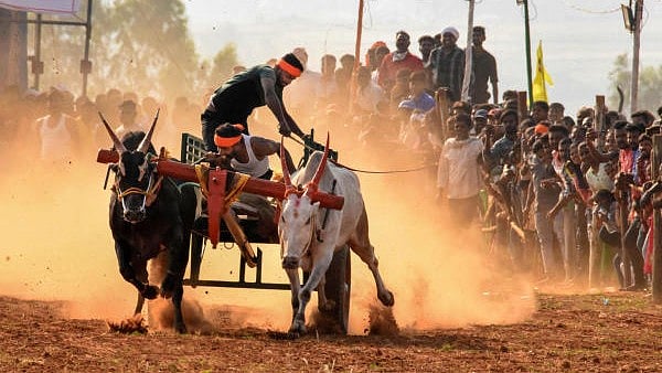 <div class="paragraphs"><p>Representative image of a bullock-cart.</p></div>