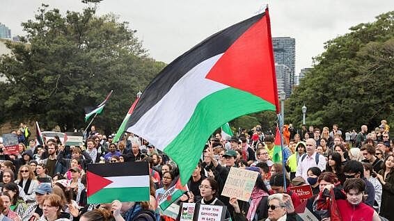 <div class="paragraphs"><p>Protestors wave Palestinian flag.</p></div>