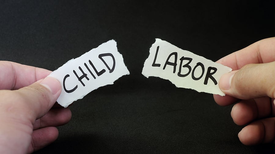 <div class="paragraphs"><p>Children in the US have died in shocking circumstances: unjamming a blocked sawmill in Wisconsin, sucked into a poultry machine in Mississippi, falling off a roof in Alabama. Image for representation</p></div>