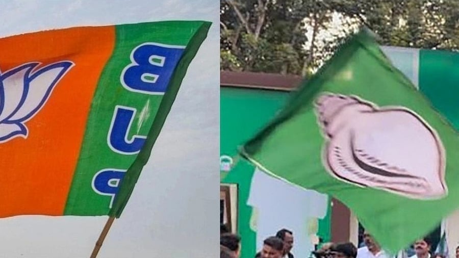 <div class="paragraphs"><p>Representative image of BJP and BJD flags.</p></div>