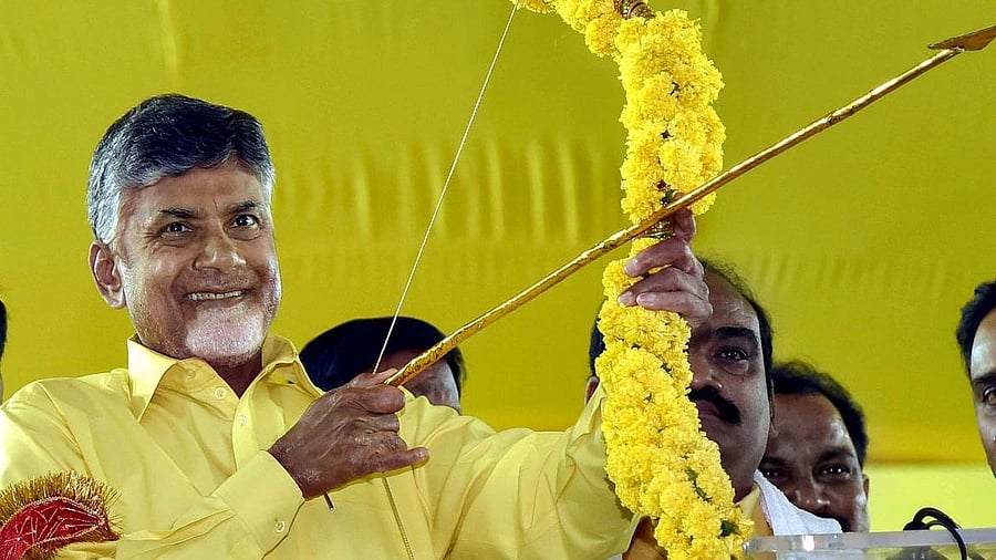 <div class="paragraphs"><p>TDP chief Chandrababu Naidu</p></div>
