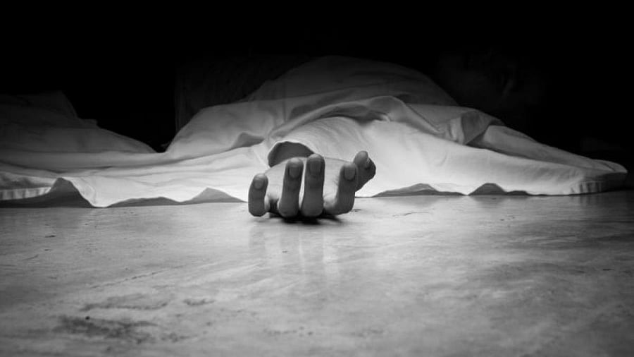 <div class="paragraphs"><p>Representative image.</p></div>