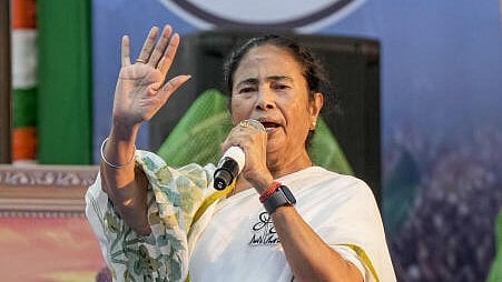 <div class="paragraphs"><p>West Bengal Chief Minister Mamata Banerjee addresses a poll rally. </p></div>