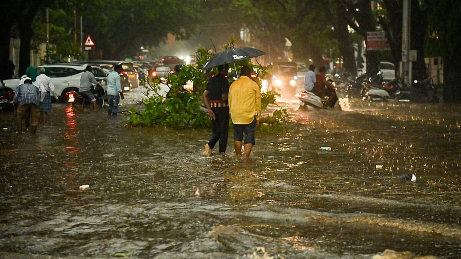 <div class="paragraphs"><p> In a few places, tree branches had caused damage to electric poles and these have been cleared and the poles have been replaced.</p></div>