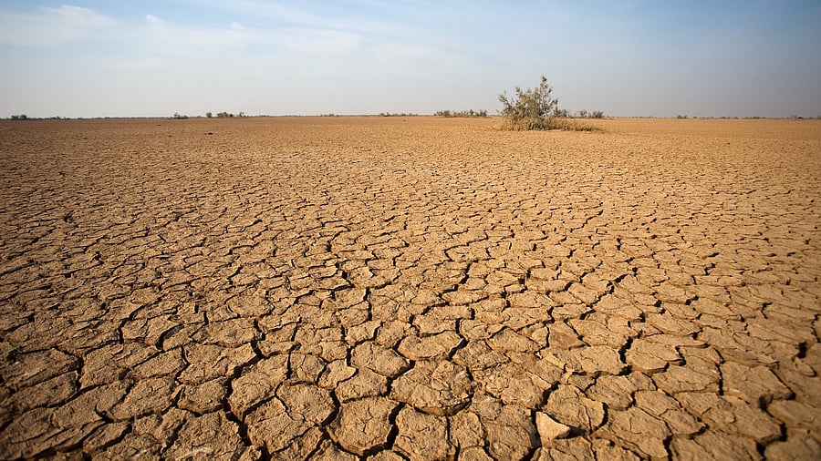 <div class="paragraphs"><p>From afforestation to the use of renewable energy, the plan suggests a slew of measures for every department.</p></div>