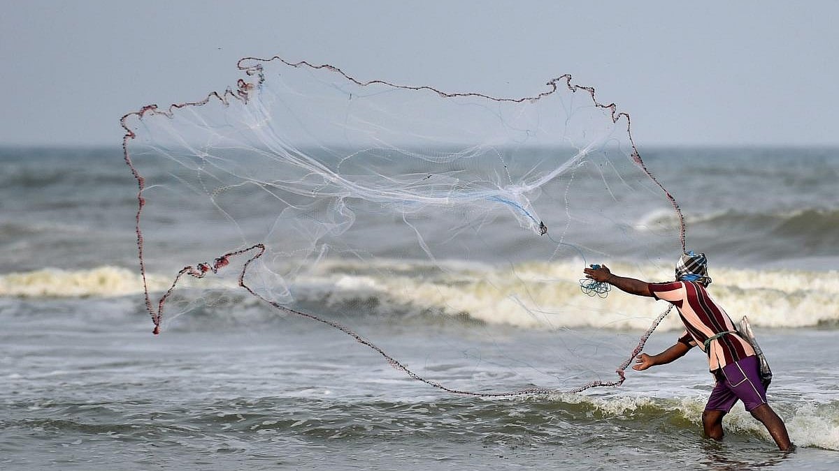 Fish catch trends: Dakshina Kannada reports Rs 3,856 crore catch