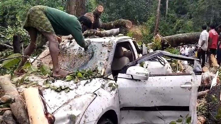 <div class="paragraphs"><p>Labourers clear a tree that fell on a moving car at Kanoor- Kattimane village of Narasimharajapura taluk in Chikkamagaluru district on Sunday. </p></div>