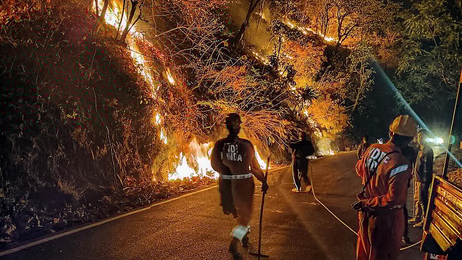 <div class="paragraphs"><p>NDRF personnel try to control a fire that broke out in the forest of Nainital district.</p></div>