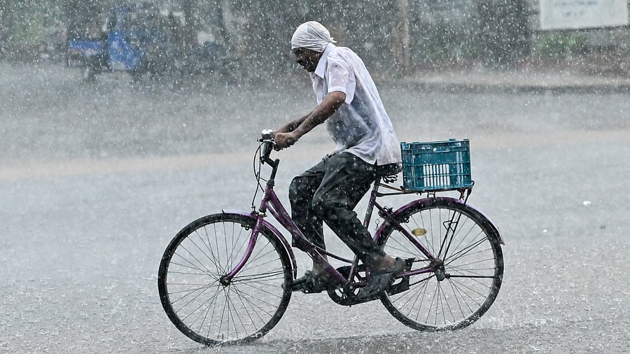 <div class="paragraphs"><p>A cyclist makes his way as it rains heavily in Mysuru on Monday. </p></div>