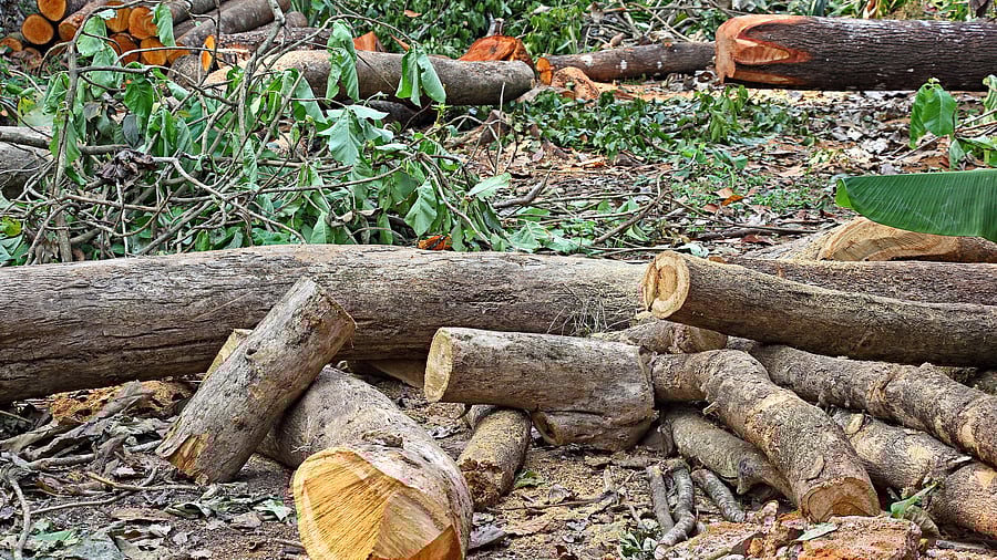 <div class="paragraphs"><p>The deceased and the accused had a dispute over some land issues. Representative image</p></div>