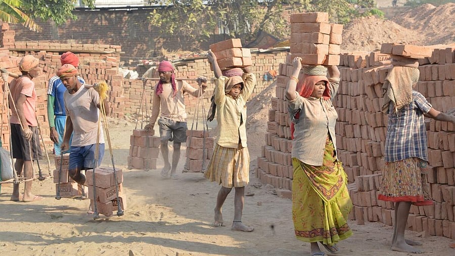 <div class="paragraphs"><p>Representative image of labourers working.</p></div>