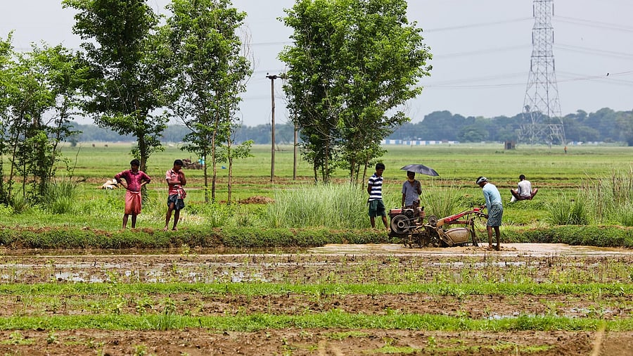 <div class="paragraphs"><p>The locals claim that unequal distribution of government benefits affects them big time. (Representative image)</p></div>