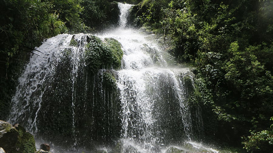 <div class="paragraphs"><p>Places to visit near Bengaluru during monsoon.</p></div>