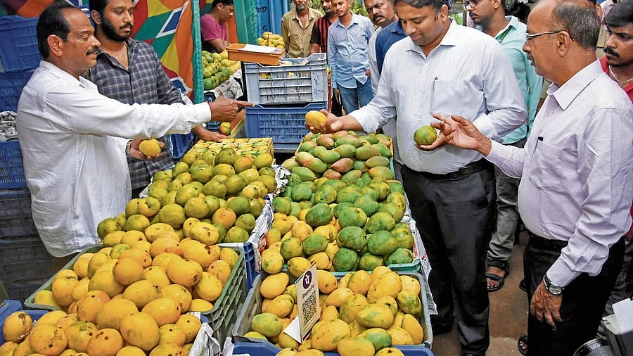 <div class="paragraphs"><p>DC Dr K V Rajendra inaugurates Mango Mela at Nishad Bagh in Mysuru.</p></div>
