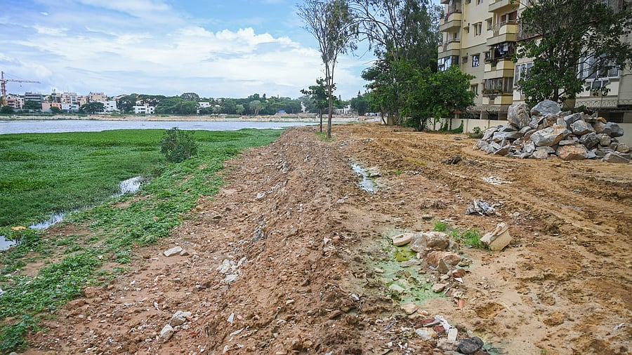 <div class="paragraphs"><p>The BBMP spent crores of rupees on the rejuvenation of the waterbody, there is no visible difference in its condition, say AAP leaders. </p></div>