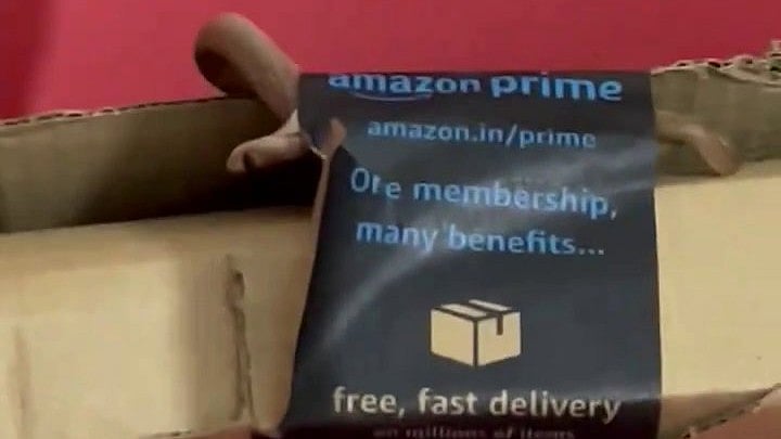 <div class="paragraphs"><p>The couple said they had ordered an Xbox controller recently from Amazon and received a live snake in the package.</p></div>
